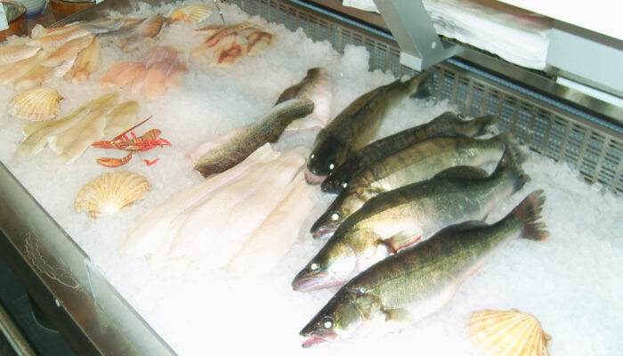 Frischfisch Auslage